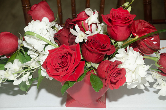 Auman_Photo-021