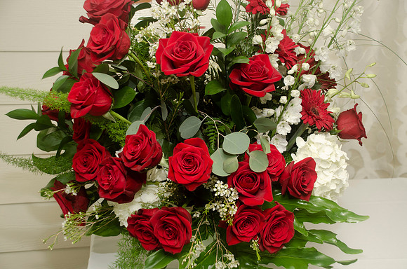 Auman_Photo-020