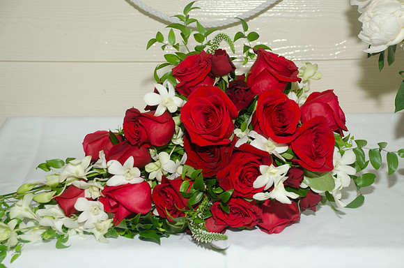Auman_Photo-024
