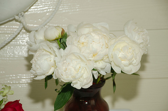 Auman_Photo-023