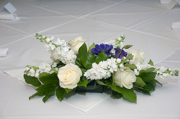 Auman_Photo-034