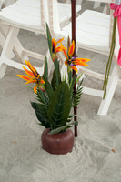 auman_photo-015