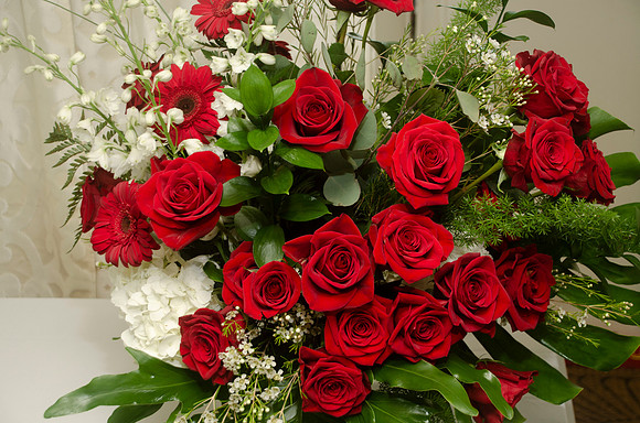 Auman_Photo-019