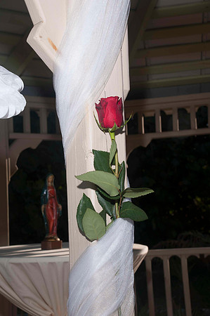 Auman_photo-007