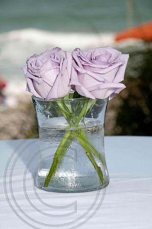 auman_photo-005