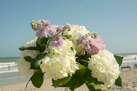 Auman_Photo002