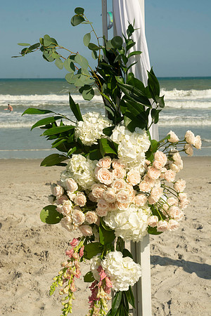 Auman_Photo001