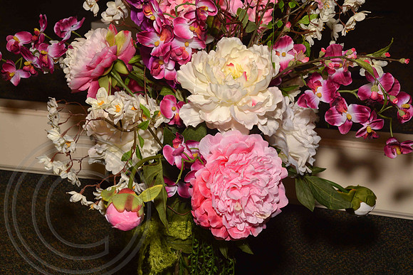auman_photo-0012