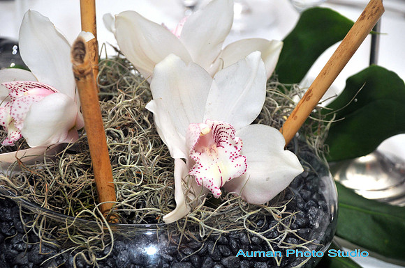 auman_photo-003