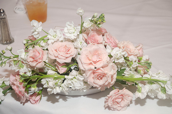 Auman_Photo-258