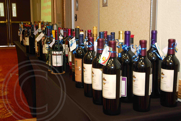 Auman_Photo-006
