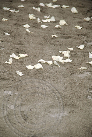 Auman_Photo_0005_proof