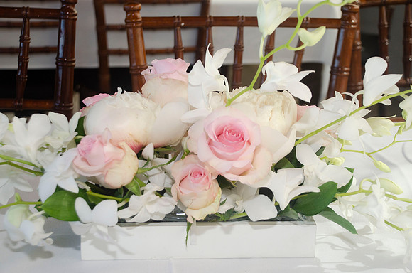 Auman_Photo007