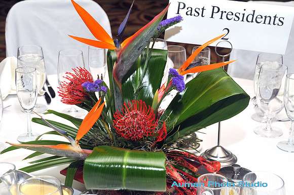 auman_photo-002