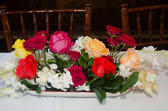 Auman_Photo010