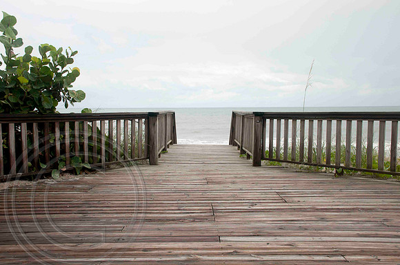 auman_photo-001