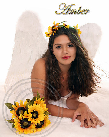 white wing 810