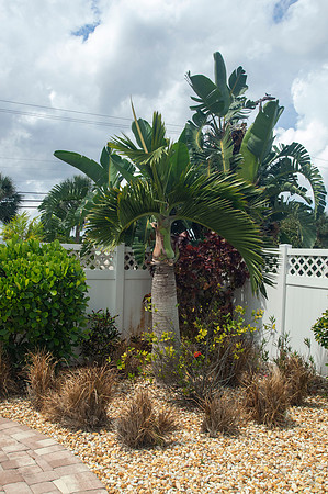Auman_Photo074