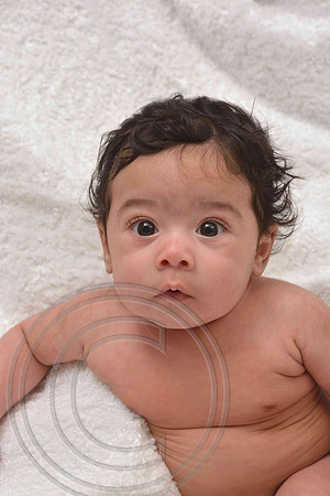 auman_photo-043